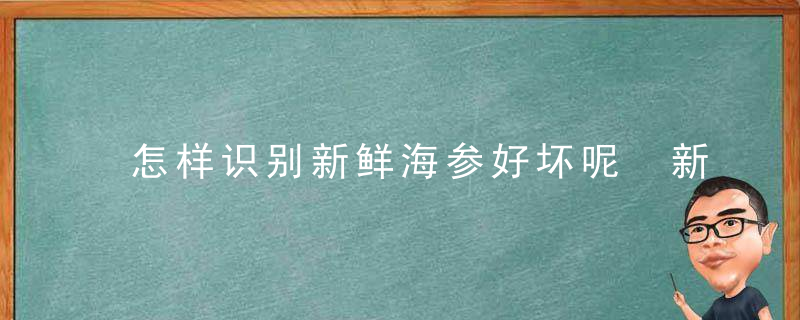 怎样识别新鲜海参好坏呢 新鲜海参的好坏辨别